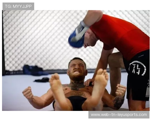 UFC 二番战：宿敌再度开战